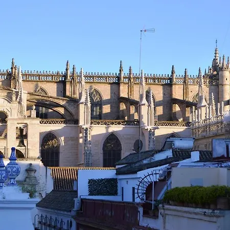 Superb In Downtown Of ,parking Optional, !! Seville