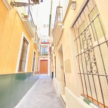 Apartment Superb In Downtown Of ,parking Optional, !!